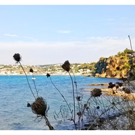 Case D'Anna Castellammare del Golfo Buitenkant foto